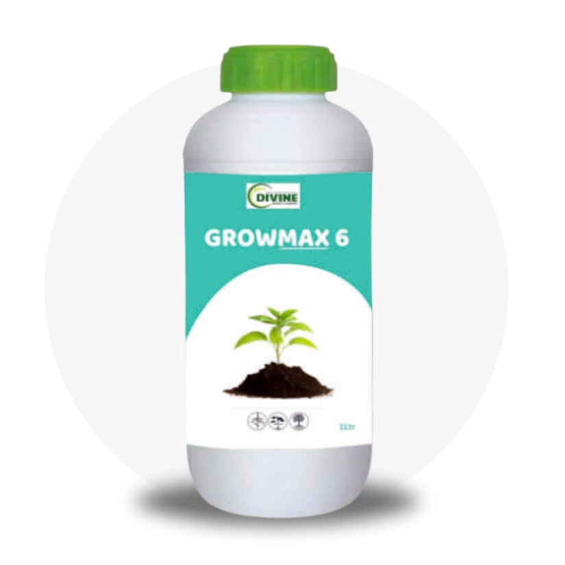 GrowMax 6